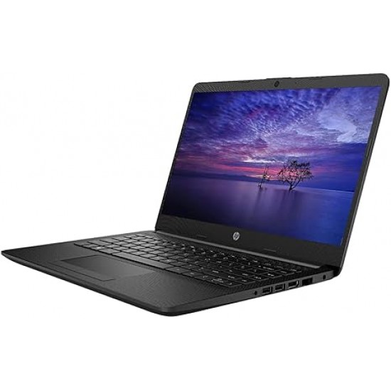 Laptop HP 14-dk1xxx AMD Athlon Silver 3050U Radeon 2G