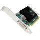 Graphic Card Nvidia Nvs 315 1Gb Ddr3 64Bit