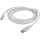 Cable Printer Terabyte Usb 2.0 Male A To B 1.5M Cable Printer Terabyte Usb 2.0 Male A To B 1.5M