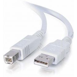 Cable Printer Terabyte Usb 2.0 Male A To B 5M Cable Printer Terabyte Usb 2.0 Male A To B 5M