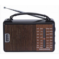 Radio Wireless Golon Fm-Am Rx-608Acw