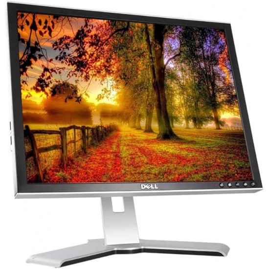 Monitor 22" Dell P2210F Led C Dvi Vga Displayport