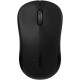 Mouse Wireless M20